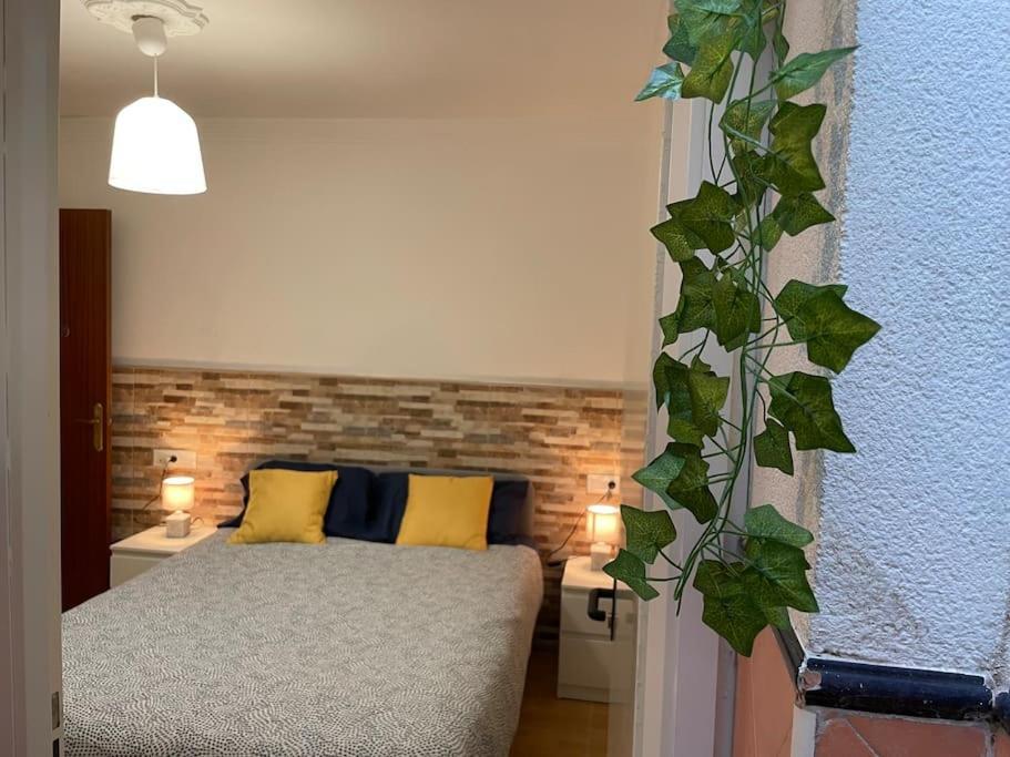 Apartment Casa Oceano